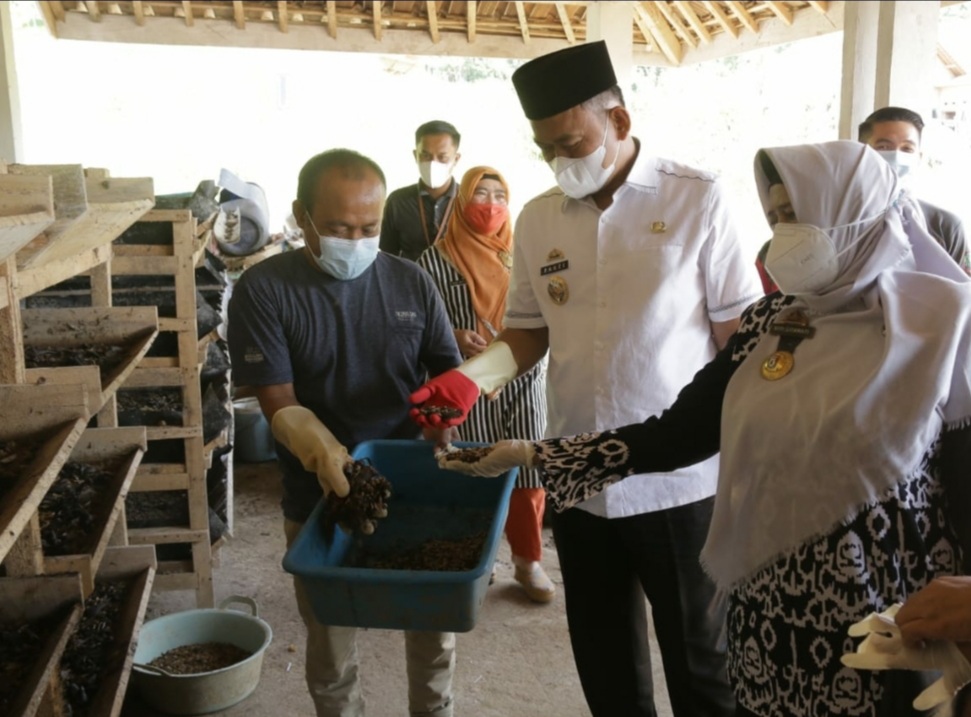 Wabup Pringsewu Tinjau Peternakan Maggot dan Pengolahan Limbah Pakan