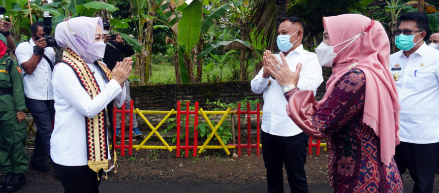 Verifikasi Lapangan Lomba Desa 2021, Kadis PMDT Provinsi Lampung Apresiasi Inovasi Unggulan Desa Pasuruan