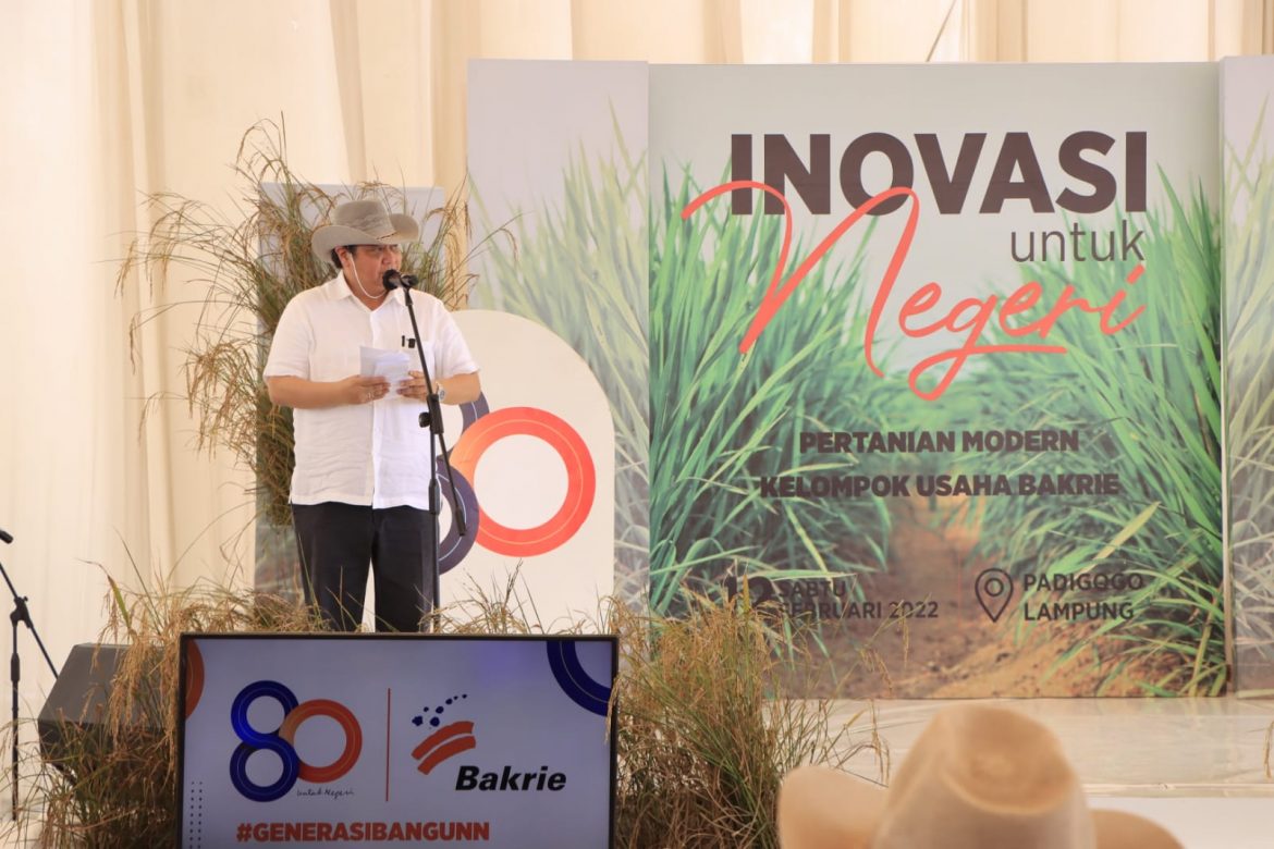 Panen Padi Gogo, Menko Perkonomian, Harapkan Inovasi Bidang Pertanian Tingkatkan Produktivitas Pertanian di Provinsi Lampung