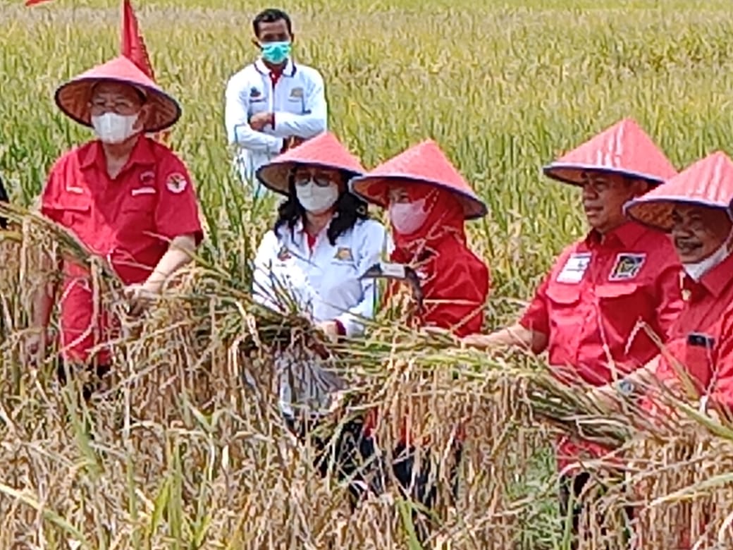 Ancilla Hernani SE,P.Si,M.Pd Fokus Membantu Petani.
