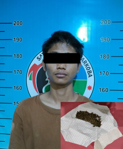 Satresnarkoba Polres Metro Gelandang Pemuda Bawa Ganja