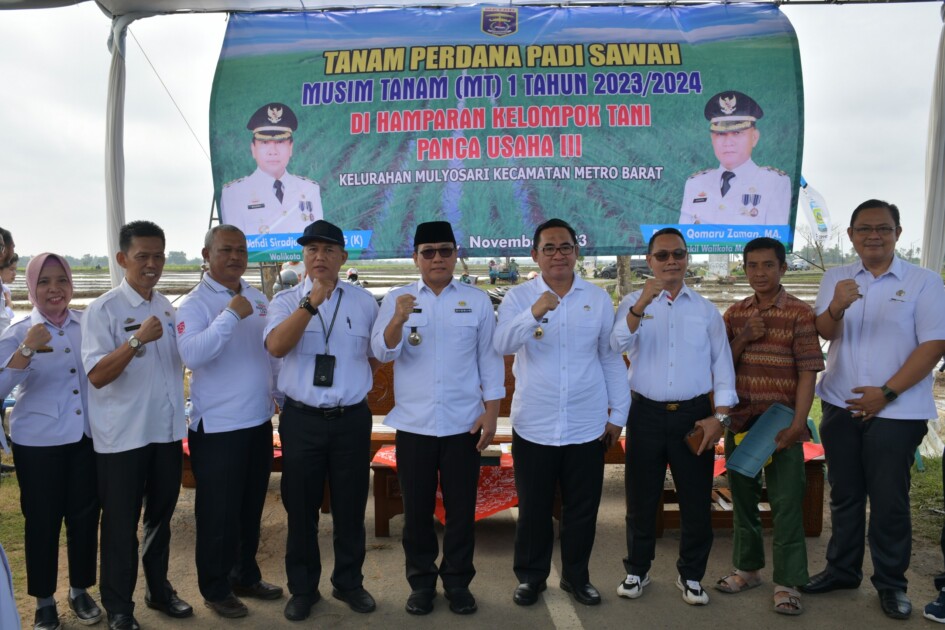 WALI KOTA METRO OPTIMIS HASIL TANAM PERDANA MT 1 DI KOTA METRO BERHASIL DAN BERKUALITAS